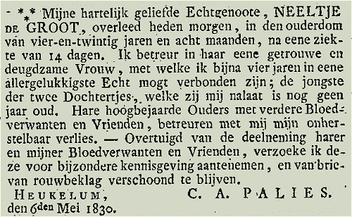 Image8.gif