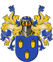 wp-Thijs-2-200