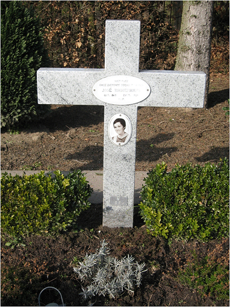 grst-Jose-Timmermans-1949-1969.gif