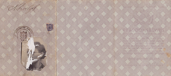 G38no001025-vz-700.gif