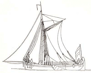 Gaffelkaag-250.gif