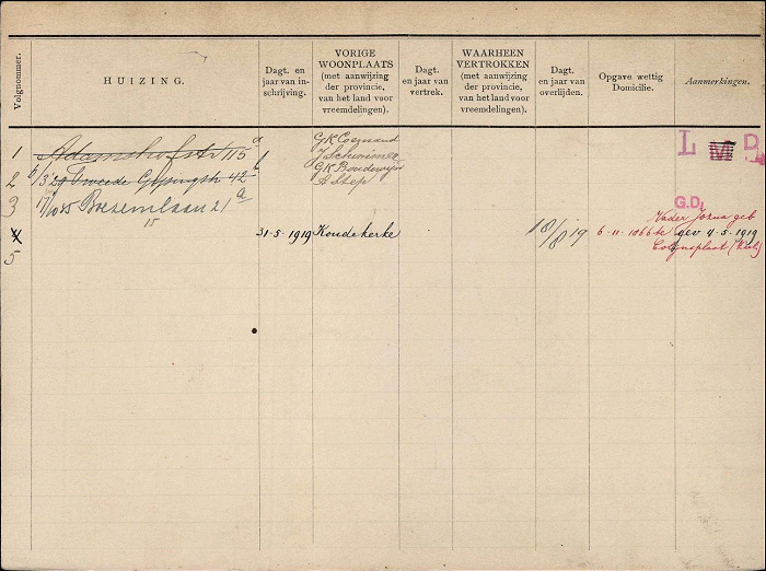 schimmer-step-az-700.gif