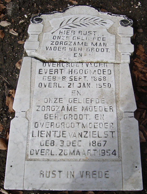 grsteen-Evert-Hoogmoed