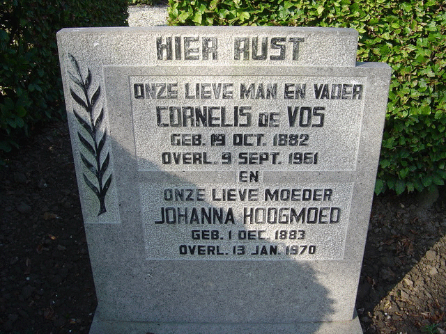 grsteen-deVos-Hoogmoed